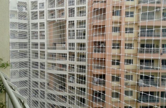 Anti-Bird Nets
