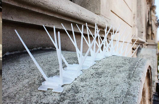 Plastic Bird Spikes