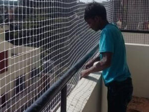 Bird Netting Services