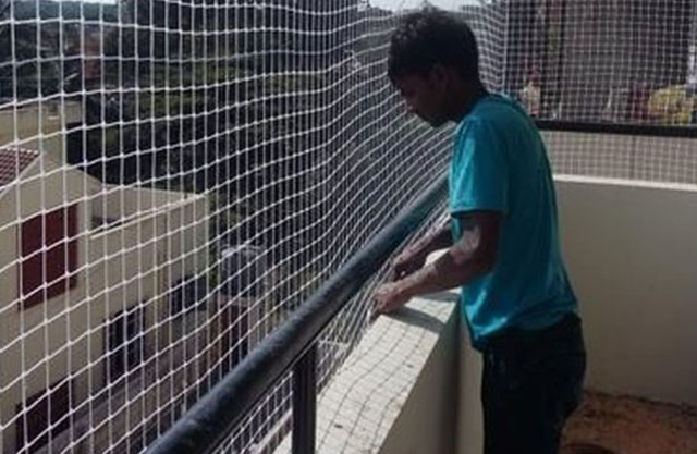 Bird Netting Services