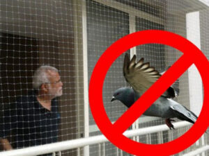 Netting to keep Pigeons Out