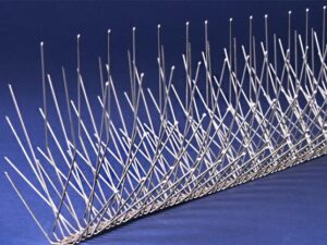 Stainless Steel Bird Spike