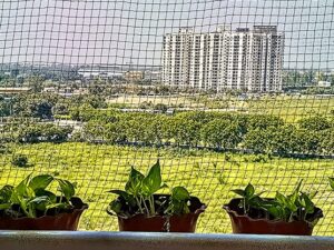 Nylon Transparent Bird Nets