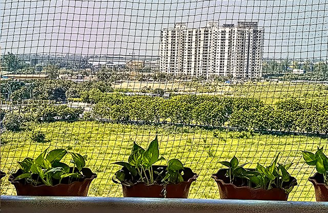 Nylon Transparent Bird Nets
