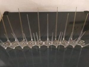 Polycarbonate Bird Spike