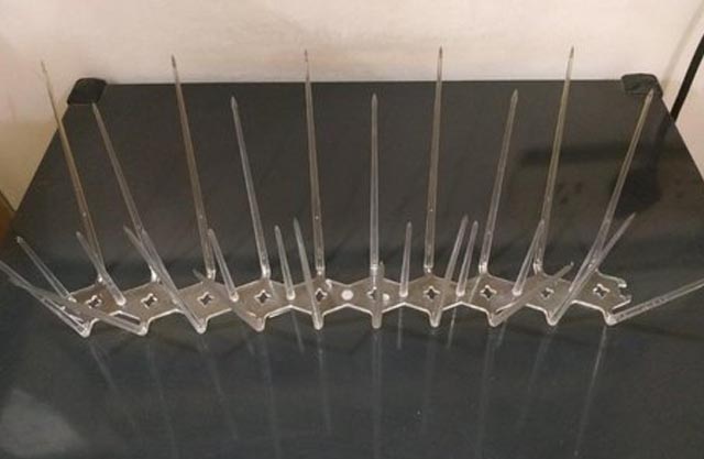 Polycarbonate Bird Spike