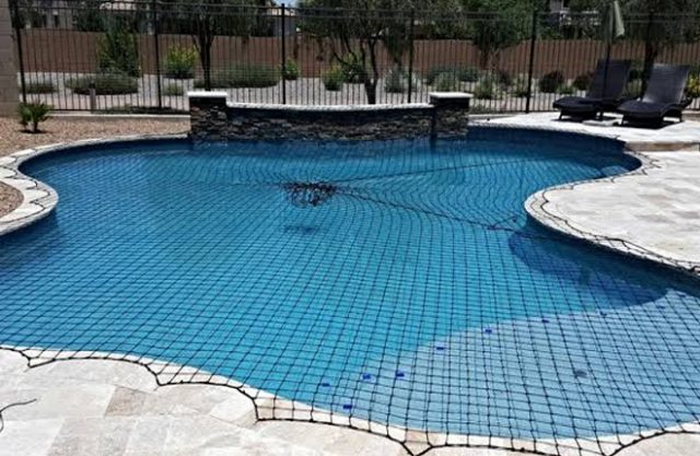 Swimming Pool Net